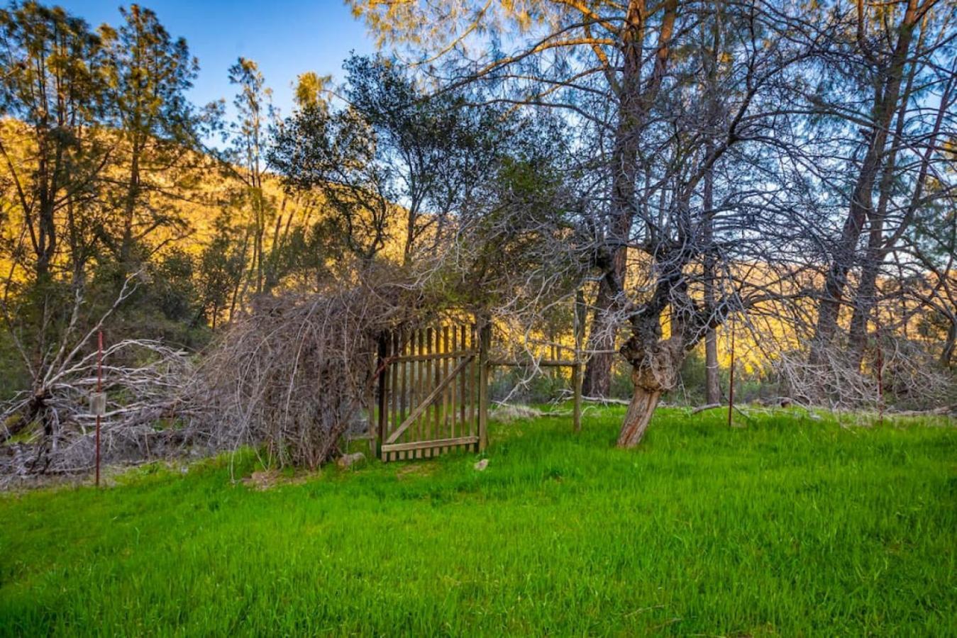 Sierra Vista Lookout Lodge With Creek, Waterfall And Waterholes, Minutes From Bass Lake And Yosemite South Gate North Fork ภายนอก รูปภาพ