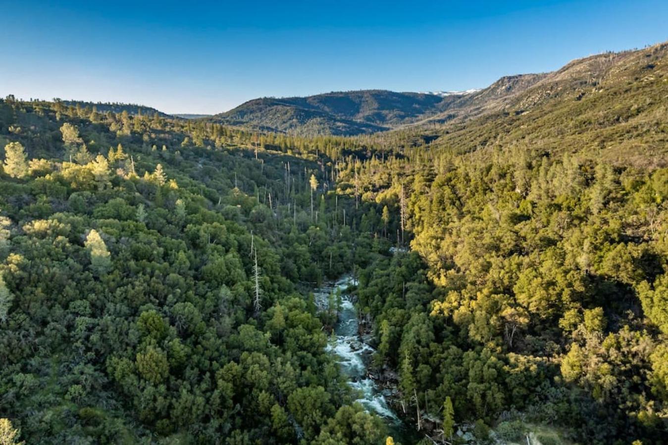 Sierra Vista Lookout Lodge With Creek, Waterfall And Waterholes, Minutes From Bass Lake And Yosemite South Gate North Fork ภายนอก รูปภาพ